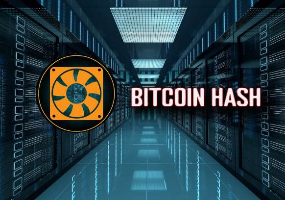 Bitcoin Hash Power